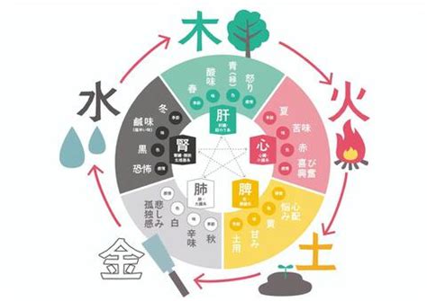 五行 健康|五行説の概要と人体との関係 